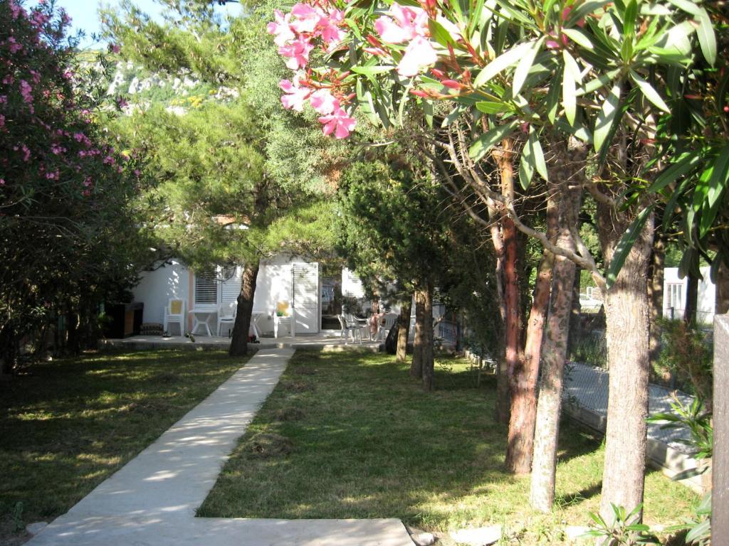 Vila Branka Canj Exterior photo