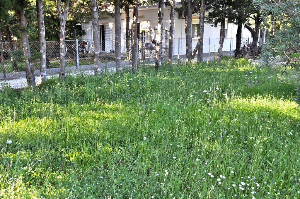 Vila Branka Canj Exterior photo